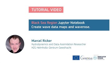 Jupyter Tutorial - Black Sea - Maps and waveroses from wave model data