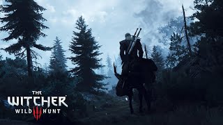 Skellige's Most Wanted (Witcher 3 Cinematic Playthrough)