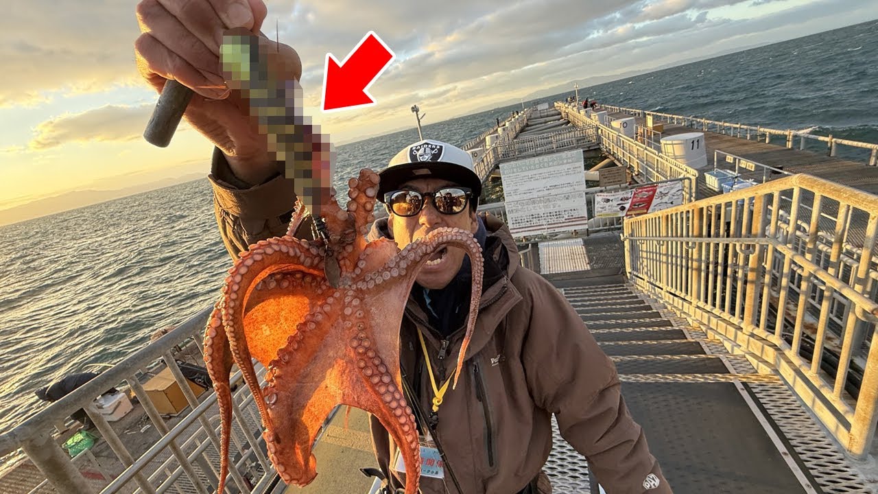 大量発生しているタコを釣りながら冬のとっとぱーく小島を徹底解説。誰でも100％釣れる最強のエサを公開【大爆風無理です】