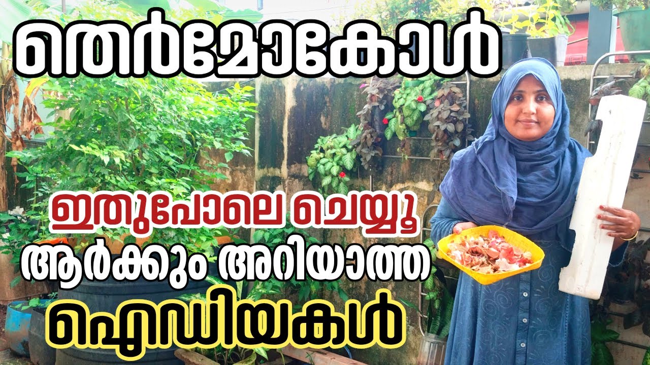 തെർമോകോൾ വെറുതെ കളയല്ലേ ഞെട്ടിക്കുന്ന റിസൾട്ട്‌ |@Master Midha|Homegardenideas