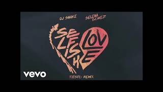 Dj Snake ft. Selena Gomez- Selfish love {Tiesto Remix} (1hour loop)