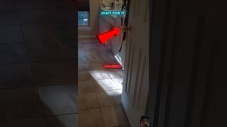 She Ignored Her Dog's Warning😱#trending #viral #shorts