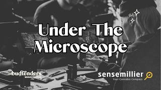 Under the Microscope: Learning to See Cannabis Differently with Sensemillier