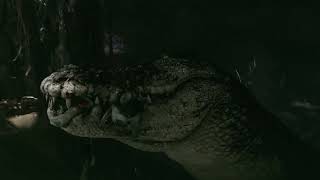 Giant Crocodile Cave Scene - Rogue 2007