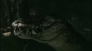 Giant Crocodile Cave Scene - Rogue (2007)