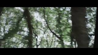 Xoş Geldin Omrume Hn Axdardigi Mahni