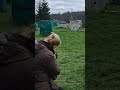 HFT Shoot-off #outdoorairgun
