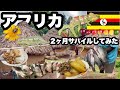 ウガンダの現地の人の家に泊まってみた/ ローカルの食材と料理も楽しむ/ ウガンダのコーヒー農園に訪れる