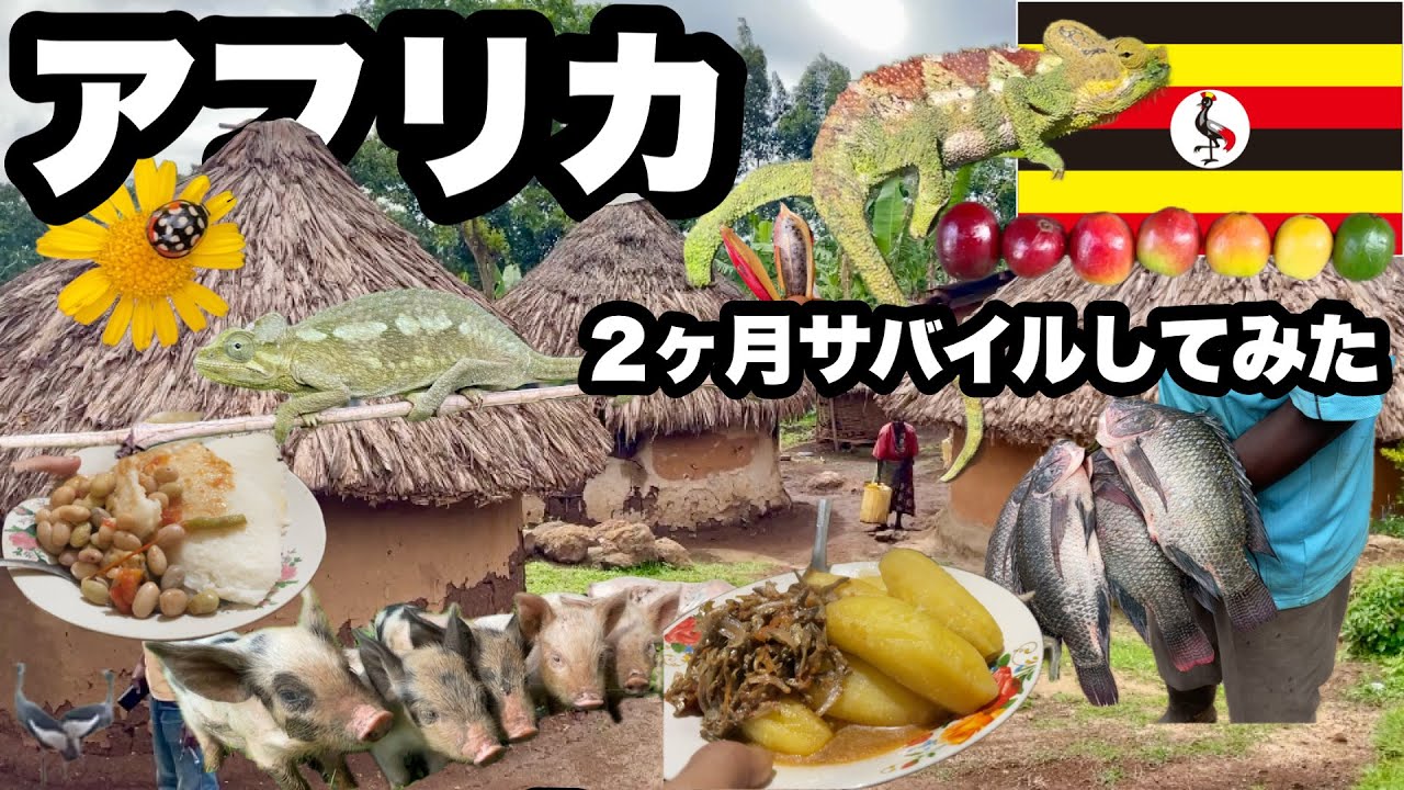 ウガンダの現地の人の家に泊まってみた/ ローカルの食材と料理も楽しむ/ ウガンダのコーヒー農園に訪れる