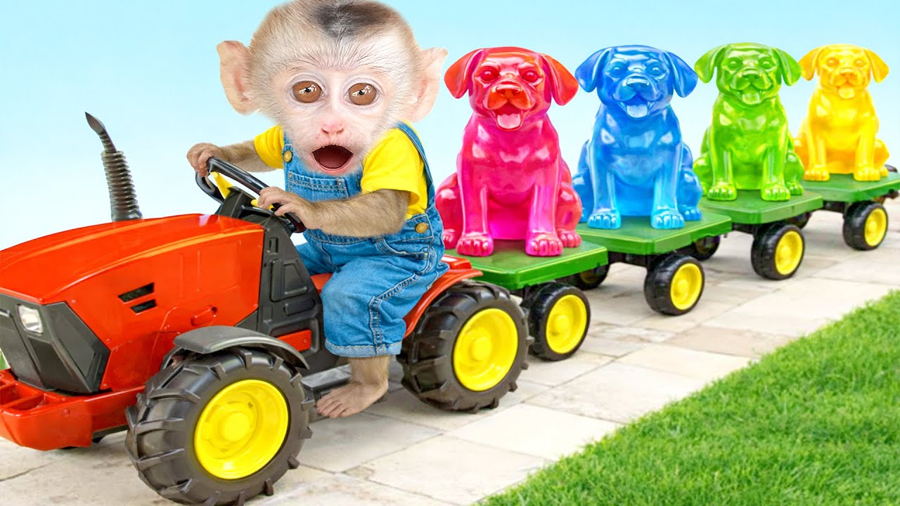 Monkey Mochi Has a Fun with Gummy Dogs - Mochi Monkey Life