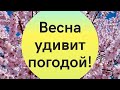 Куртки пригодятся до самого лета: синоптик дала аномально холодный прогноз погоды на весну в Украине