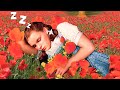 You're taking a nap with Dorothy in the poppy field in Oz (oldies music, birds ambience 3 HOURS ASMR