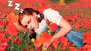 You're taking a nap with Dorothy in the poppy field in Oz (oldies music, birds ambience 3 HOURS ASMR