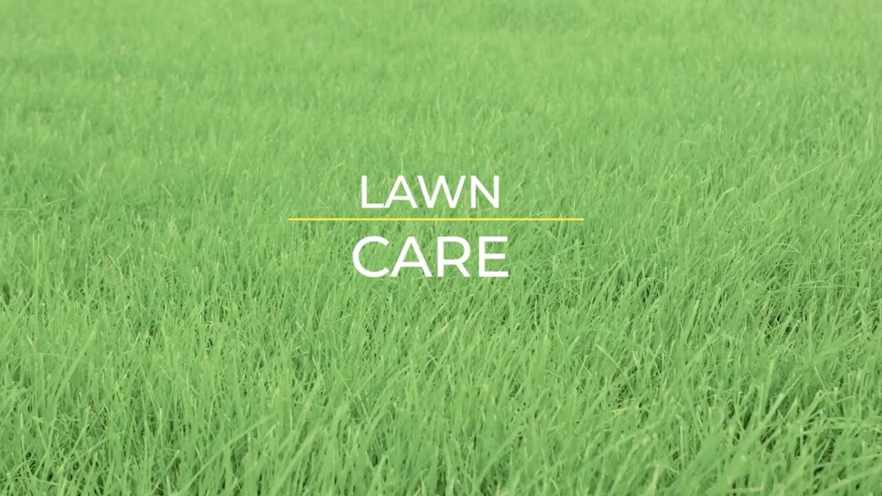 Lawn Fertilizer Service