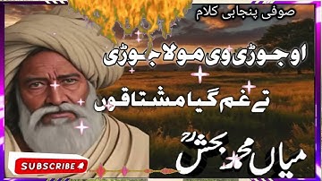 Kalam mian Muhammad bakhsh | Saif ul malook | heart touching kalam | Punjabi Sufiyana kalam 