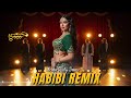 Habibi حبيبي Arabic Deep House Remix Club Anthem Middle East 2025