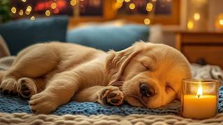 12 Hours of Music for Dogs 🎵 Soft Calming Sounds for Dogs 🐕 Relaxation & Peaceful Sleep for Pets screenshot 4