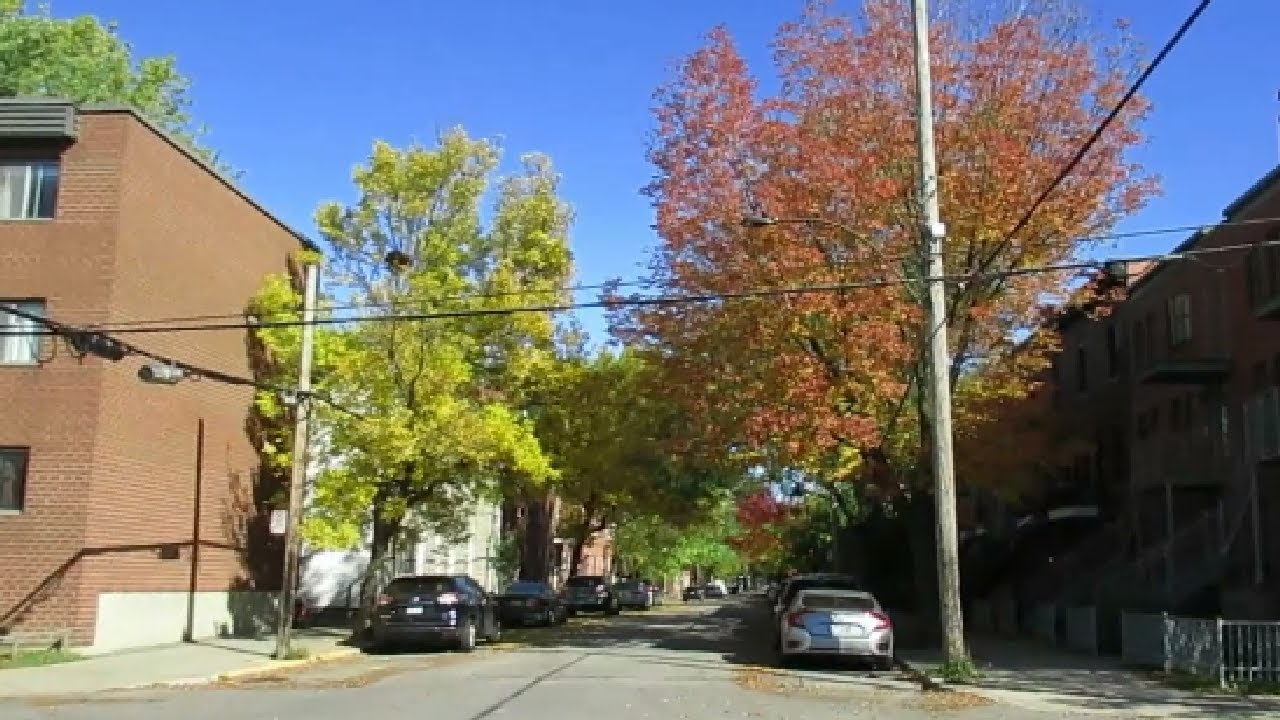 WALKING AROUND MONTREAL'S POINTE ST CHARLES BOROUGH 101319 YouTube