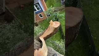 Celebrity Span rigging and why I chose ￼to use it Net Worth