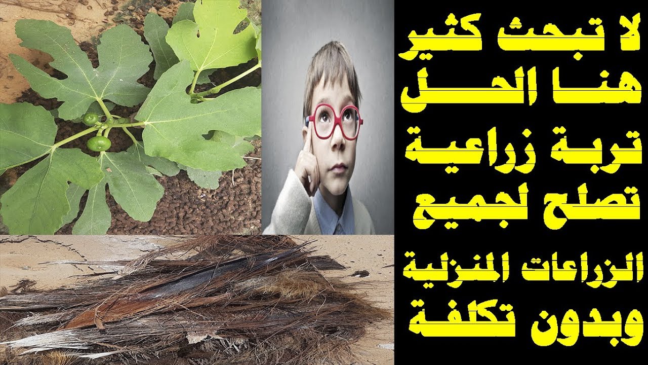 طريقة عمل تربة زراعية خفيفة  تصلح لجميع الزراعات المنزلية How to make Coco peat from trees