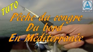 Comment pêcher le congre du bord en mediterranée.