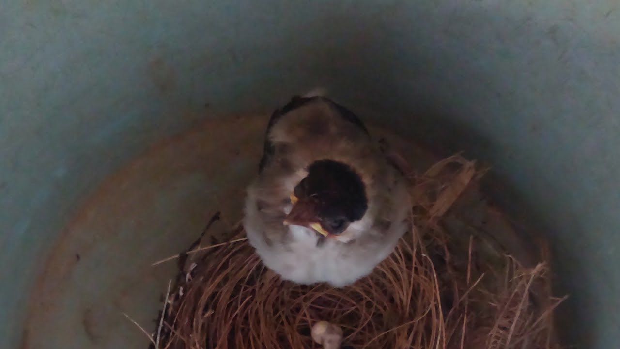 Lokasi ngebolang ini gak pernah yang namanya zonk pasti banyak poin nya❗️