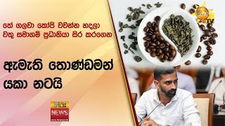 තේ ගලවා කෝපි වවන්න හදලා වතු සමාගම් ප්‍රධානියා සිර කරගෙන ඇමැති තොණ්ඩමන් යකා නටයි - Hiru News