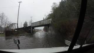 Water logged Hwy 38 Oregon