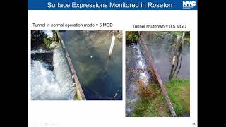 Water Supply Issues in the Delaware River System: A tale of Tunnels, Transfers, Tumult, and Trout