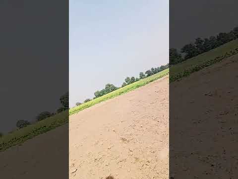 11 नवंबर 2022