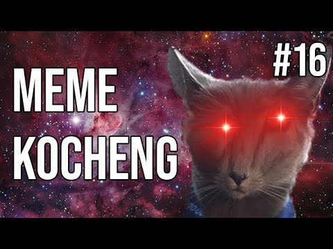 kocheng-oren-bar-bar-anjay!-meme-kucing-#16