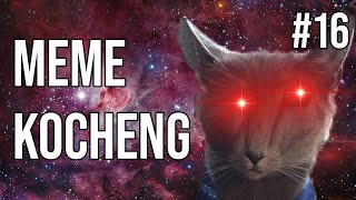 Kocheng Oren Bar Bar ANJAY! Meme Kucing #16