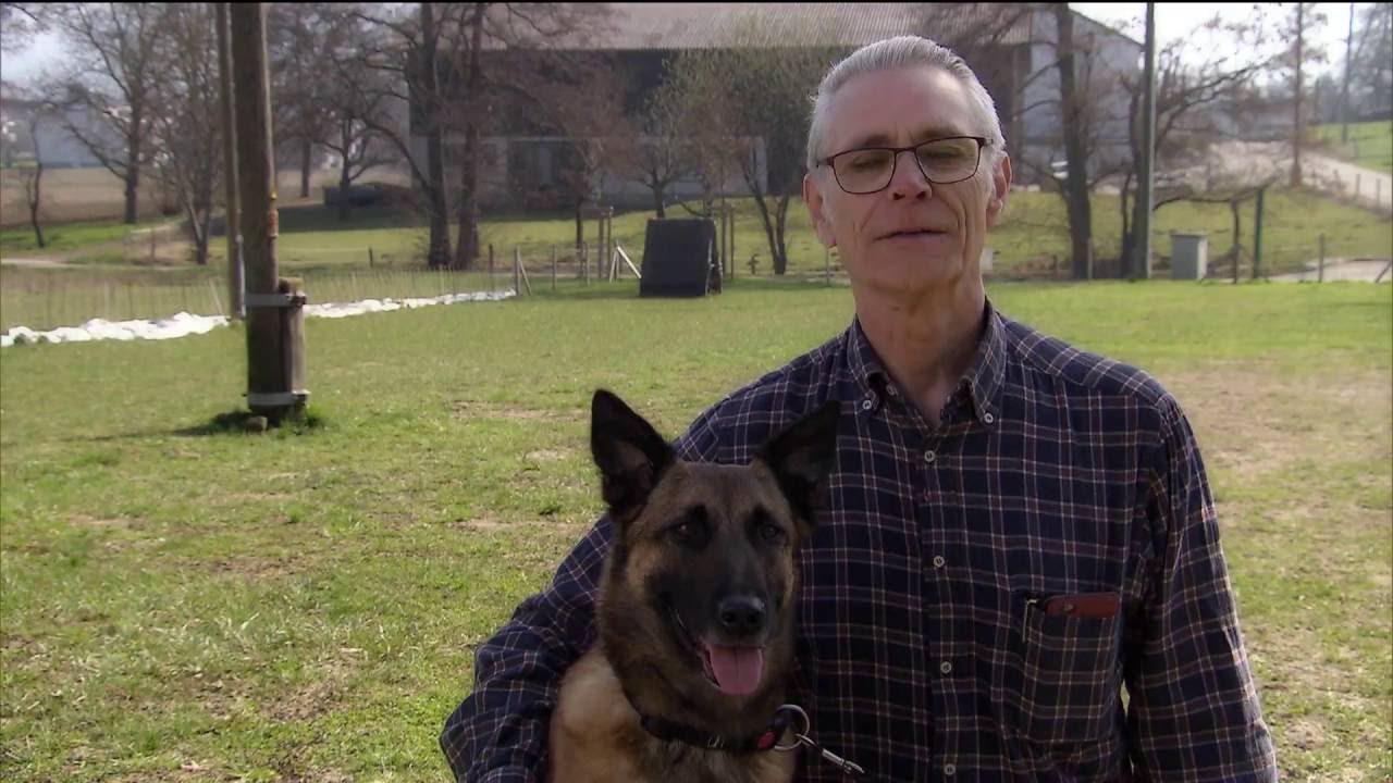 Swisslos: Hundesport Birseck Reinach (BL)