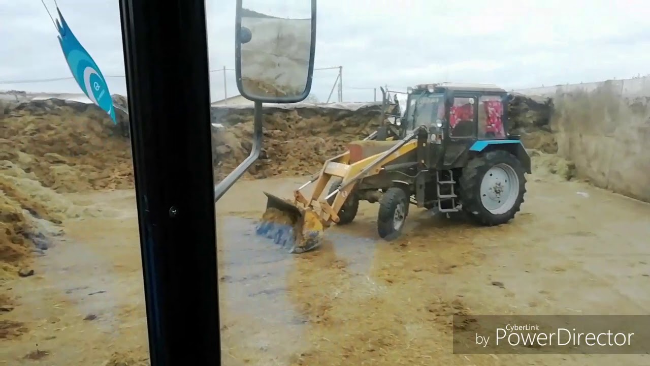 Сборка мтз видео. Погрузка дров куном МТЗ 82. Трактор МТЗ 80 С куном погрузка. МТЗ 82 старого образца с куном. МТЗ-82 С куном место установки аккумулятора.