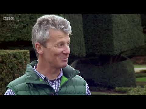 antiques road trip