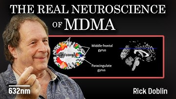 How MDMA Actually Affects the Brain and Treats PTSD | Rick Doblin