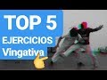 Capoeira Training Exercises | Top 5 (Vingativa)