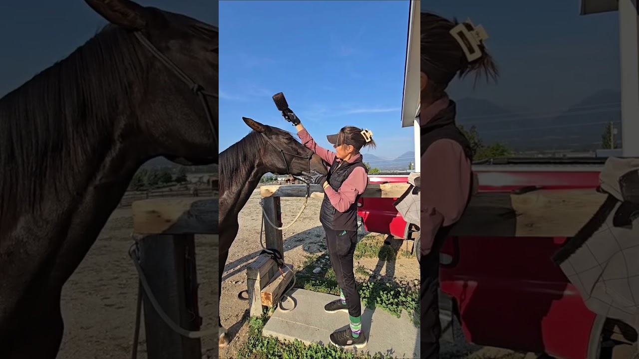 The best horse training tool? Love. 💛