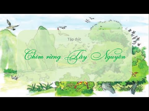 Video Chim rừng Tây Nguyên - Tiếng việt lớp 2 [olm.vn] - YouTube