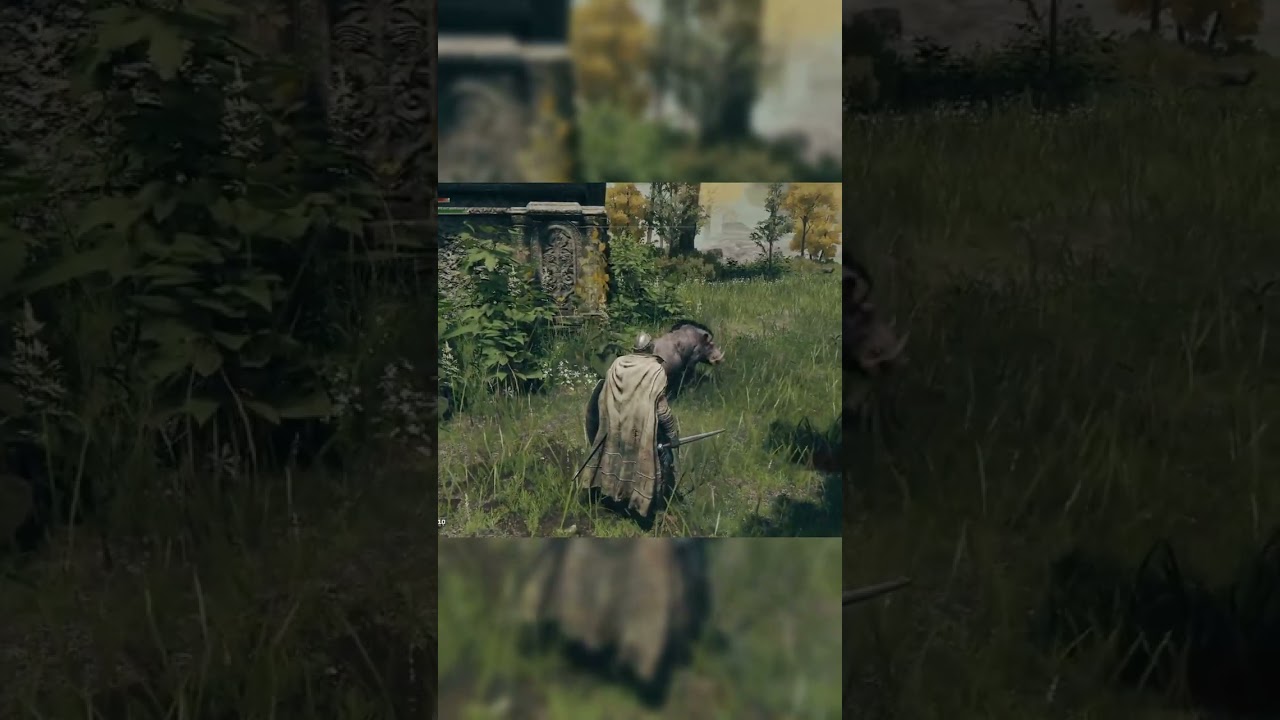 Can't trust the Elden Ring boars AT ALL