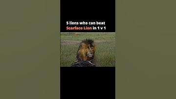 5 most powerful lions in the history #viral #shorts #youtube #video