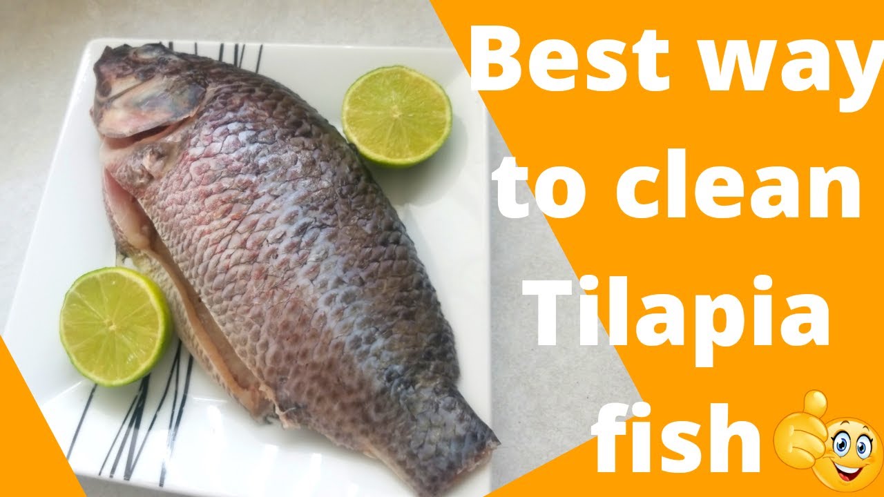 How to Clean Tilapia fish Easily | Tilapia fish Cleaning | Tilapia fish 