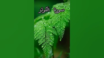 «سورة الكوثر» القارئ ( محمد احمد العيسى) 🌹😔😔🌹