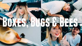 BOXES, BUGS & BEES