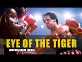 GO FOR ! Survivor -  Eye of the tiger  ( Ludovic Paris remix )