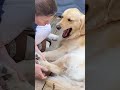 #YouTube #shorts #funny #video #shortvideo #short #love #entertainment #sorts #funny