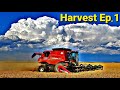 It's BIG It's HERE Let's GO! Harvest 2020