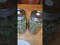 Harvest wrap up.