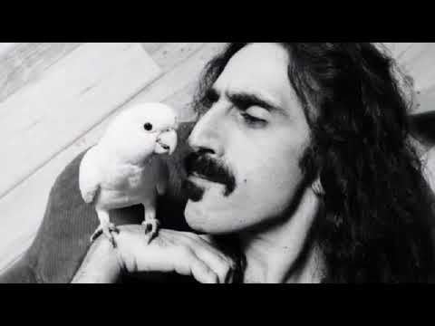 اغاني عراقيه فمان الله يا مسافرين اريد اشتري من اهل الهموم 