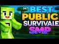 Minecraft Lifesteal SMP 2026 – Peaceful Adventure for All (Java &amp; Bedrock) Live 1